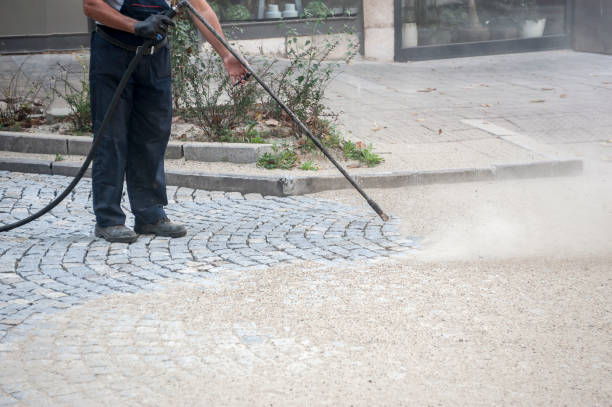 Best Residential Exterior Washing  in Sunnyvale, TX